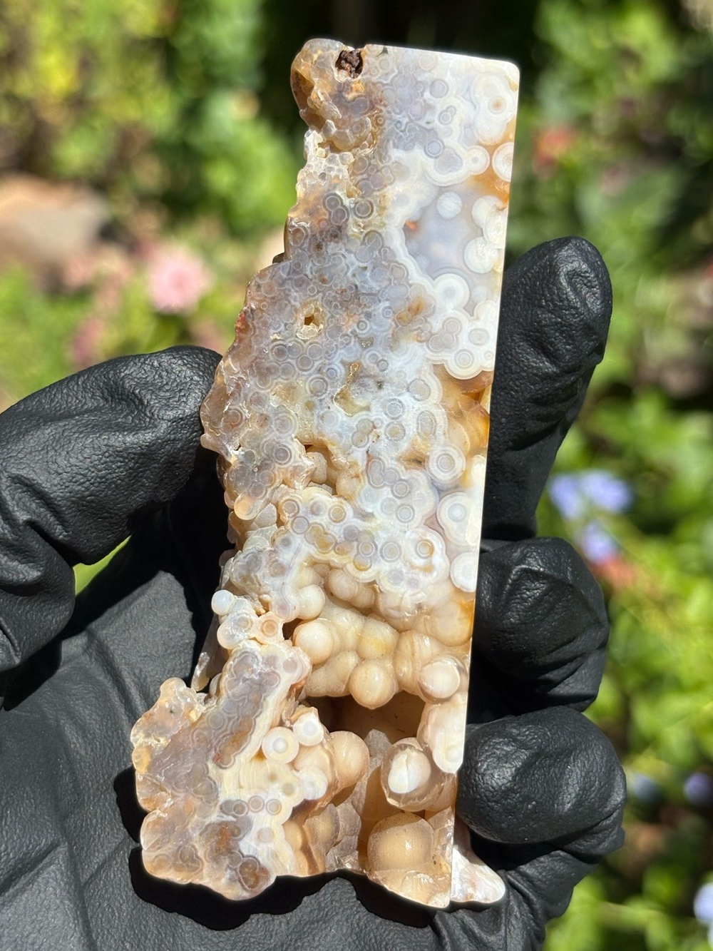 Botryoidal Ocean Jasper Crystal Freeform